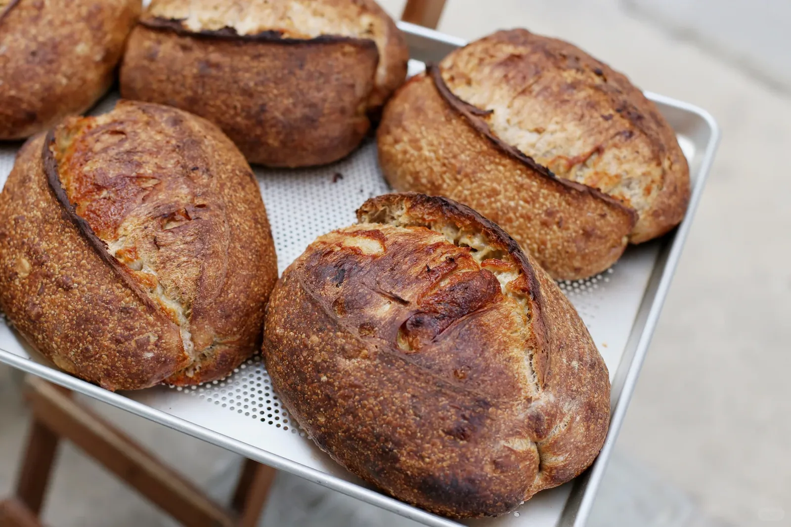 A batch of golden-brown loaves with opened scores on a perforated baking tray.