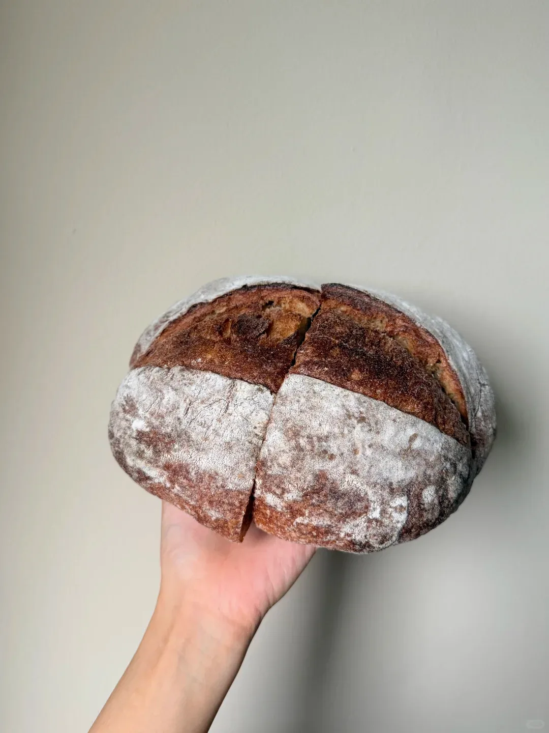 A hand holding a dark-crusted, flour-dusted round loaf with a cut across the middle.
