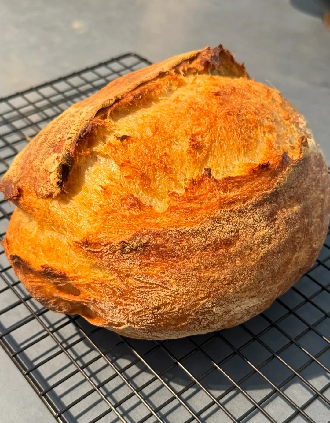 A close view of the deeply golden crust and raised score of a loaf on a cooling rack.