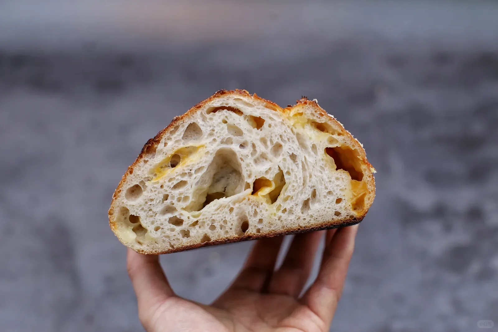 A hand holding half a crusty loaf, revealing a pale, open crumb with golden pieces.