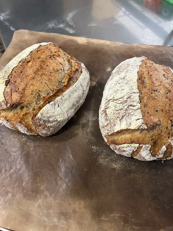 Two flour-dusted loaves on a baking liner