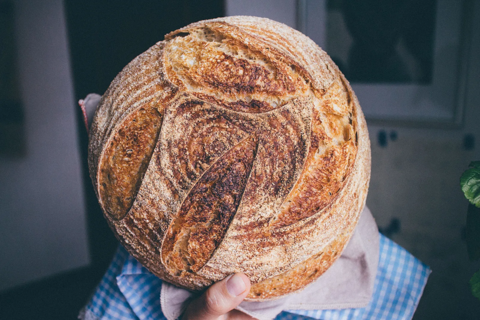 A large round artisan loaf with a golden, crackled crust, held in a cloth against a dark background.